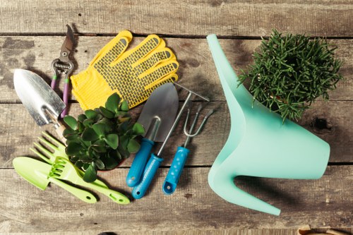 A collection of gardening tools and supplies arranged on a weathered wooden surface, including a pair of yellow gardening gloves, small hand trowel and fork, pruning shears, a green plastic plant label, and a spray nozzle. Also present is a potted plant with dense green foliage and a light blue watering can with a curved handle. The tools and implements suggest preparation for outdoor garden maintenance, with the plant and watering can indicating plant care activities. The weathered wood background adds a rustic outdoor feel, suitable for a gardening or landscaping service website based in Plaistow, London, linking visually to lawn and garden care services in the local area.