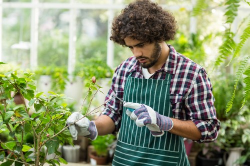 A young man with curly brown hair, wearing a green and white striped apron over a checkered shirt and gardening gloves, is attentively examining a plant with pink flowers in a well-lit greenhouse. Behind him, a variety of lush green foliage, including ferns and potted plants, fills the space, with natural sunlight filtering through the glass ceiling. The greenhouse demonstrates a thriving indoor gardening environment, with soil beds, plant stands, and organized rows of greenery. The scene reflects professional gardening activities typical of a reputable landscaping service such as Landscapers Plaistow, situated near Plaistow in East London, emphasizing the care and attention to detail in horticultural work within a sustainable, natural setting.