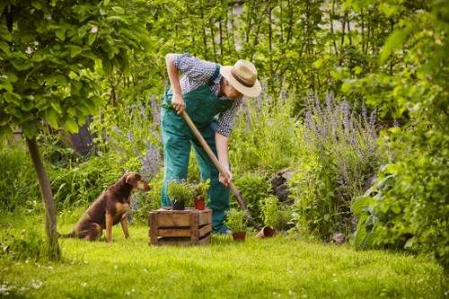 A person wearing a straw hat, blue overalls, and a checkered shirt is gardening in a lush, green outdoor space, using a small hand tool to tend to plants or soil in a garden bed. Nearby, a brown dog sits attentively on the neatly mowed grass, which is bordered by mature trees and flowering shrubs with purple blooms. The garden features a mix of grass lawn, flowering plants, and natural foliage, creating a vibrant and inviting backyard environment. In the background, dense greenery and trees provide a shaded setting, ideal for outdoor maintenance and landscaping. The scene captures a peaceful moment of gardening activity, with natural light filtering through the tree canopy, reflecting typical outdoor gardening service environments around Plaistow and nearby areas, with a focus on lawn care, planting, and garden upkeep as part of professional horticultural work by Landscapers Plaistow.