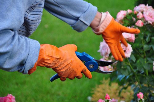 A close-up view of a gardener wearing bright orange waterproof gloves, using pruning scissors to trim a flowering shrub in a well-maintained outdoor garden. The garden features a lush green lawn in the foreground, bordered by flower beds with vibrant pink blooms and dark green foliage. In the background, there are neatly shaped hedges and small trees, indicating careful landscaping and regular maintenance. The lighting suggests a clear day with natural sunlight illuminating the scene. The scene reflects professional gardening practices, emphasizing meticulous pruning and garden care typical of landscapers in the Plaistow area, consistent with services offered by Landscapers Plaistow, as showcased on their Recycling and Sustainability page.