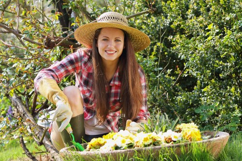 Efficient garden clearance services in a Plaistow garden