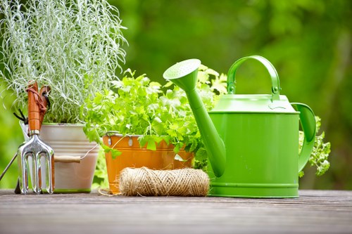 Healthy green grass maintained by professionals