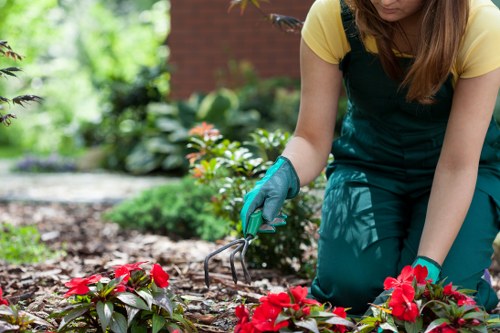 Comprehensive landscaping services in Plaistow