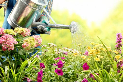 The image depicts a close-up view of a garden scene where a gardener's gloved hand is watering vibrant flowering plants using a silver metal watering can, which is tilted to pour water over the lush greenery. The garden features a mix of colourful flowers, including pink, yellow, and purple blooms, planted in well-maintained beds bordered by green foliage. In the background, there are hints of a green hedge or shrubbery, contributing to a tidy, landscaped outdoor space typical of a residential garden in Plaistow or nearby areas. The lighting suggests a bright, sunny day with natural daylight illuminating the garden and highlighting the vivid colour contrasts among the flowers and plants. The scene reflects standard outdoor gardening activities related to lawn and plant care, suitable for homeowners and gardening professionals offering lawn maintenance and garden landscaping services in the Plaistow area, exemplified by companies like Landscapers Plaistow.