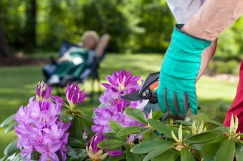 Ethical landscaping and anti-slavery commitment illustration