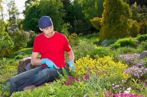 Essential garden tools for maintaining a Plaistow garden