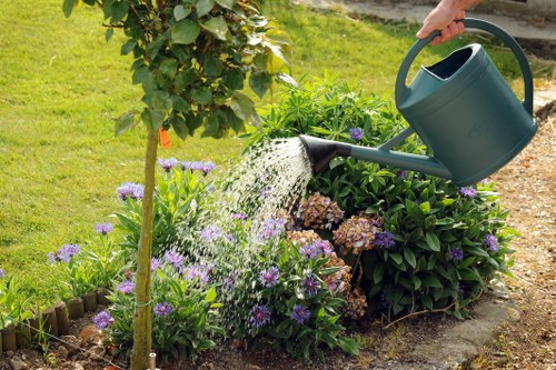 A person watering a garden bed in a well-maintained outdoor space with a green lawn, a small young tree supported by a stake, and flowering plants with purple and white blooms. The garden features a curved border with wooden edging separating the flower bed from the grassy area, and the soil appears healthy and moist. In the background, there are additional shrubbery and a paved patio area. The scene is illuminated by natural daylight, suggesting a mild, clear weather condition. This setting reflects typical gardening activities and landscape features, highlighting the importance of regular watering and plant care in maintaining a lush, attractive garden, which is relevant to outdoor landscaping and lawn maintenance services.