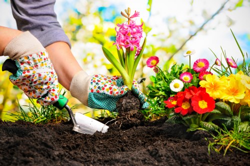 A gardener wearing beige gardening gloves with colorful dotted patterns is planting a pink hyacinth flower into dark, rich soil in a well-maintained garden bed. The garden features a variety of vibrant flowers, including red, yellow, and white blooms, arranged in neat flower beds alongside lush green foliage. In the background, there are blurred trees and a bright, partly cloudy sky, suggesting a sunny day. The scene is outdoors in a landscaped garden area within Plaistow, with natural light highlighting the vivid colors of the flowers and the healthy green lawn surrounding the beds. The gardener is using a small hand trowel to gently position the hyacinth, indicative of routine gardening activity. This scene reflects professional gardening and outdoor plant care, aligned with landscaping and garden maintenance services provided by Landscapers Plaistow, serving local residents in the E13 postal district.