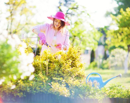 A woman wearing a pink sun hat and gardening gloves is tending to a vibrant, well-maintained garden in an outdoor space. She is using a small hand tool to prune or cultivate a lush, yellow-green bush positioned in a garden bed that contains other healthy plants and flowers. The garden features a neatly kept lawn with dense, green grass in the foreground, bordered by a variety of shrubs and trees that provide shade and natural visual interest. In the background, there are tall, leafy trees with sunlit foliage, and the sunlight filters through the branches, casting a warm glow over the scene. A blue watering can is placed on the grass near the garden bed, indicating ongoing outdoor maintenance. The entire setting suggests a peaceful, well-tended garden typical of residential landscaping in Plaistow, offering natural beauty and ease of outdoor upkeep, with the woman engaged in gardening activities that contribute to the overall aesthetic and health of the outdoor space.