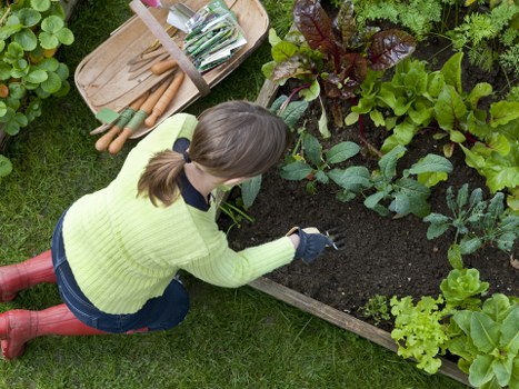 User requesting accessibility support for Landscapers Plaistow content