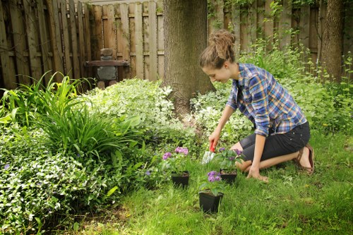 Selection of native plants for Plaistow gardens