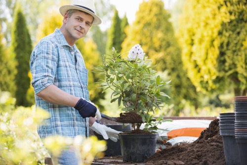 The image shows a man wearing a straw hat, a blue checked shirt, and gardening gloves working in an outdoor garden area. He is planting a flowering shrub or small tree in a black plastic pot filled with soil. In the background, there is a blurred view of green trees and foliage, indicating a lush garden setting during daylight with natural sunlight. The garden bed surface is covered with dark soil, and nearby, there are several empty plant pots stacked beside him. This scene reflects outdoor gardening activities typical of landscaped rear or front gardens, with a focus on planting and garden maintenance. The environment appears well-maintained, with vibrant green plant life and clear weather, suggesting it is suitable for gardening services offered by companies like Landscapers Plaistow in East London or nearby areas within the postcode region. The natural tones of the soil, plants, and background greenery convey a healthy, thriving garden environment, emphasizing professional gardening work applicable for landscaping, planting, and outdoor care services.