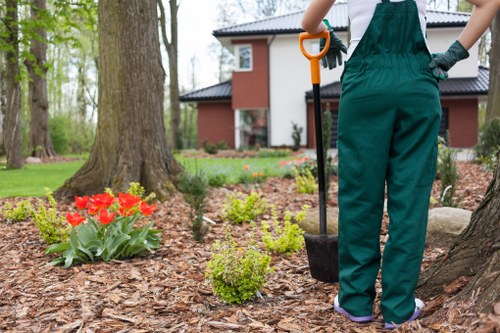 Hardscaping elements with patio and walkways