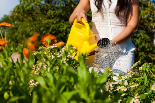 In a vibrant garden scene on a sunny day, a woman wearing a white sleeveless top is partially visible, holding a yellow watering can with both hands as she waters a variety of flowering plants and shrubs. The garden features a well-maintained lawn with dense, green grass in the foreground, bordered by bright orange and white flowers, and lush hedges and trees in the background. The sunlight highlights the natural tones of the foliage and blooms, creating a cheerful outdoor environment typical of a landscaped yard in Plaistow, with a backdrop of a bright blue sky. The scene emphasizes outdoor maintenance and gardening activities, consistent with services offered by Landscapers Plaistow, without any assumptions about the specific plant species or ongoing gardening tasks beyond watering the plants.