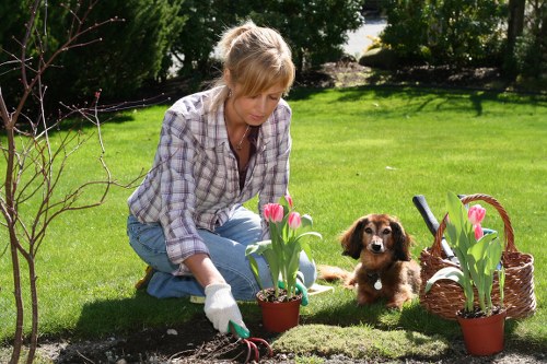 Aesthetic appeal of professionally trimmed hedges