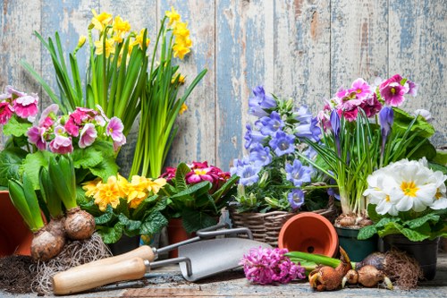 A garden scene with multiple potted flowering plants arranged on a rustic wooden surface against a weathered, blue-painted wooden background. The plants include blooming primroses in shades of pink and white, yellow daffodils with tall green leaves, and purple and blue flowers. Some pots are terracotta, while others are woven baskets. Gardening tools such as a small hand trowel, a gardening fork, and a pair of gloves are also present among the plants, along with bulbs and some soil. The overall scene emphasizes vibrant colours and lush greenery, suggesting preparation for garden planting or maintenance, and subtly reflecting professional gardening and landscaping services in the Plaistow area.